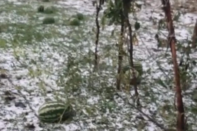 Elazığ’da fırtına ve dolu, tarım arazilerine zarar verdi
