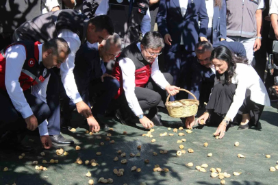 Bakan Yumaklı Aydın’da incir hasadına katıldı
