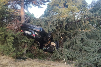 Otomobil ağaca çarptı: 1 yaralı
