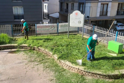 Efeler Belediyesi parklarda bakım çalışmalarını sürdürüyor
