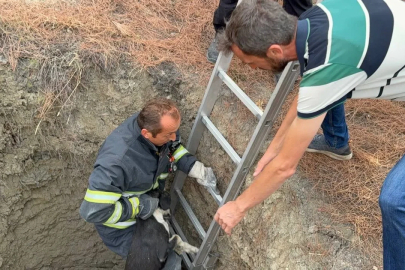 10 metre derinliğindeki kuyuya düşen köpeği itfaiye kurtardı
