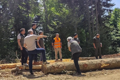 Bolu’da ormancılık faaliyetlerine saha denetimi
