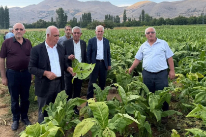 Başkan Özkan: "Çelikhan’da dolu yağışı tütün üreticilerini vurdu"
