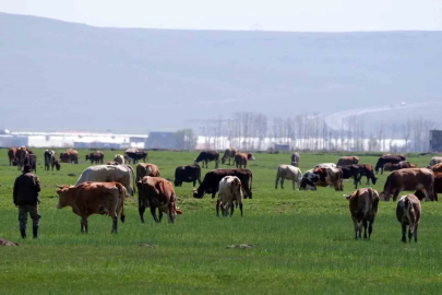 Tarımda üreticilere destekleme çağrısı
