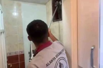 Alanya’da havalandırma bacasına düşen kedi ekipler tarafından kurtarıldı
