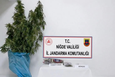 Niğde’nin Bor ilçesinde uyuşturucu operasyonu

