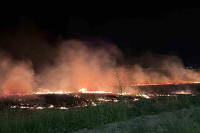 Osmaniye’de mısır tarlasında çıkan anız yangını söndürüldü
