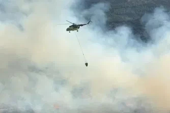 Aydın’da orman yangını
