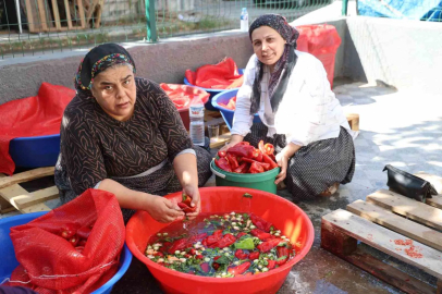 Damlar şarkılı türkülü salça mesaisi ile kırmızıya boyandı
