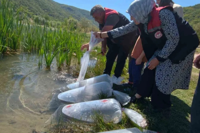 Karabük’teki göletlere 105 bin yavru balık bırakıldı
