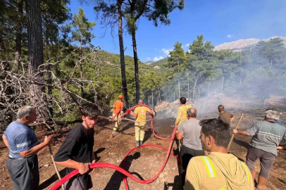 Beşkonak’ta kopan enerji nakil hattı orman yangınına neden oldu
