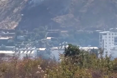 Baykan’da ormanlık alanda çıkan yangın paniğe neden oldu
