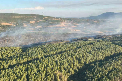 Soma’daki orman yangını kontrol altına alındı: Otoyol yeniden ulaşıma açıldı
