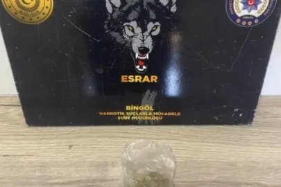Bingöl’de 43 şüpheli yakalandı

