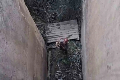 Koruma altındaki dağ keçisi için özel kurtarma operasyonu

