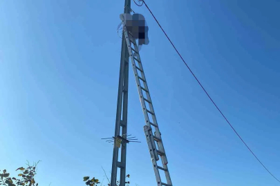 Çıktığı direkte akıma kapılan elektrikçi hayatını kaybetti
