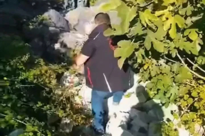 Avcılar ihbar etti, ekipler topladı: Kaçak avcılık düzenekleri imha edildi
