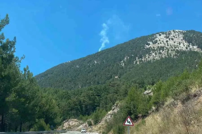 Fethiye’de orman yangını
