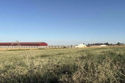 Odunpazarı’nda tarım arazisinde mühimmat bulundu: Kontrollü şekilde imha edilecek

