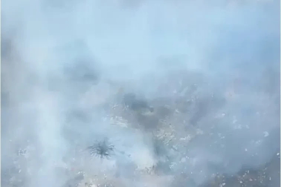 Alanya’nın iki ayrı mahallesindeki kısmen ormana sıçrayan yangın söndürüldü
