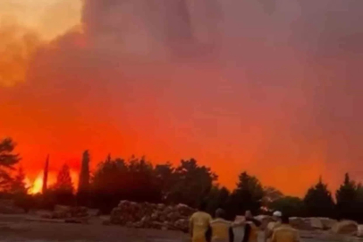 Menteşe’de orman yangını
