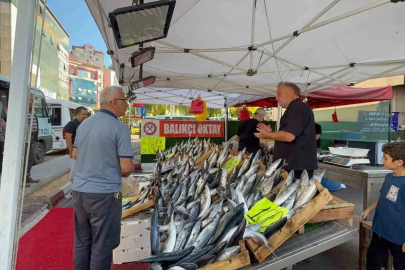 Zonguldak’ta palamut sezonu 100 liradan başladı
