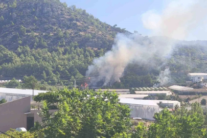 Bozyazı’da orman yangını büyümeden söndürüldü
