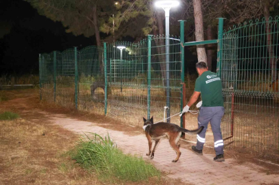 Büyükşehir ekipleri yangında can dostlar için seferber oldu
