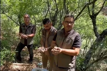 Endemik dağ sarımsağını söken 3 kişiye, 2 milyon lira ceza
