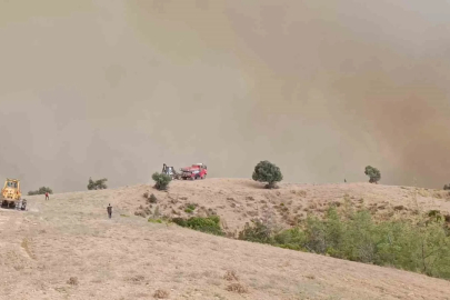 Kozan’da orman yangını: 5 helikopter, 2 uçakla mücadele sürüyor
